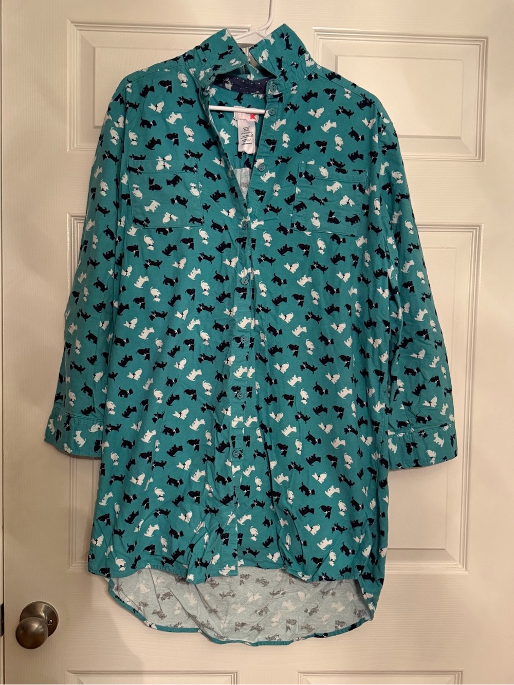 Relaxed Teal Button-Down Gown with Dog Print - Women